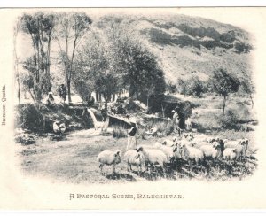 INDIA/PAKISTAN Postcard *BALUCHISTAN* PPC Farming UNDIVIDED BACK {samwells}KA479