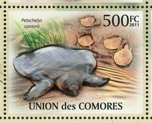 Turtles Stamp Pelochelys Cantorii Geochelone Sulcata S/S MNH #3007-3011 