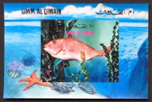 UAE  Umm al Qiwain Fishes S/S 3D MNH