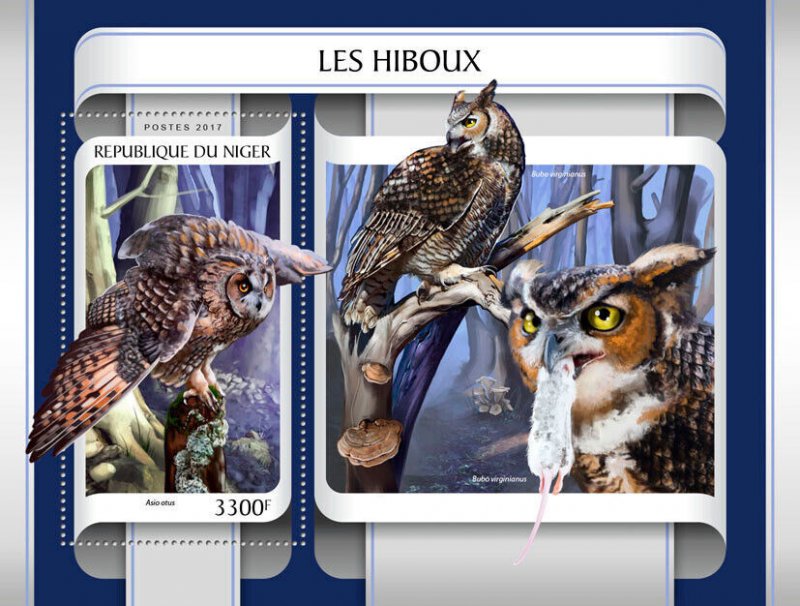 Birds of Prey Owls Stamps Niger 2017 MNH Long-Eared Owl 1v S/S