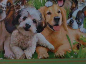 ​MADAGASCAR-2022-PROMOTE-LOVELY DOGS-CTO-SHEET-EST.$12 VF LAST ONE  CTO SHEET