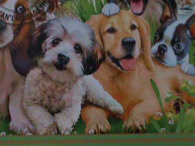 ​MADAGASCAR-2022-PROMOTE-LOVELY DOGS-CTO-SHEET-EST.$12 VF LAST ONE  CTO SHEET