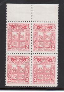 Newfoundland #88a Very Fine Never Hinged Top Margin Block