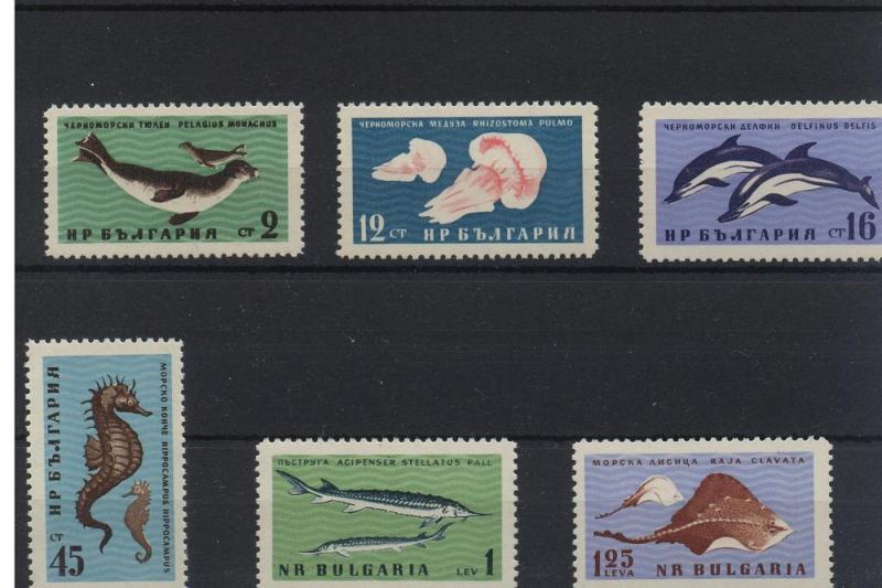 Bulgaria 1961 Black Sea Fauna 6 values Scott # 1164-1169 MNH