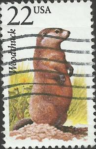 # 2307 USED WOODCHUCK