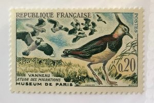 France 1960  Scott  978 MNH - 20c, Bird Migration, Vanneau, Museum de Paris