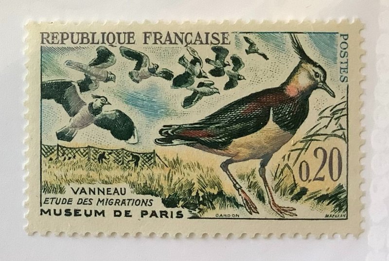 France 1960  Scott  978 MNH - 20c, Bird Migration, Vanneau, Museum de Paris