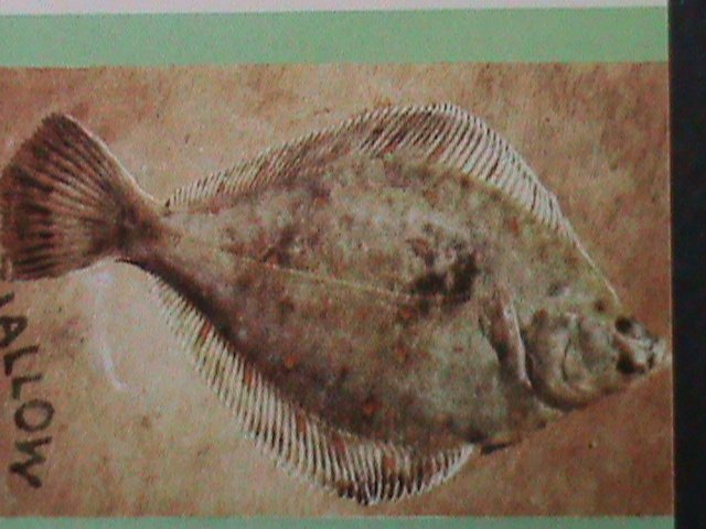 ​EYNHALLOW-SCOTLAND-PROMOTION SALES- LOVELY FISH CTO IMPERF S/S VERY FINE-RARE