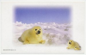 Postal stationery China 1999 Seal - Fur