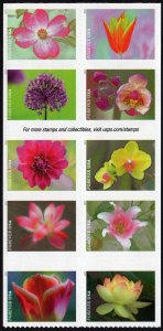 SC#5558-67 (Forever) Garden Beauty Block of Ten (2021) SA