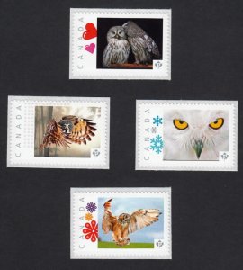 OWLS = Set of 4 Personalized Picture Postage Stamps MNH Canada 2015 [p15-041ow4]