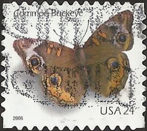 # 4001 USED COMMON BUCKEYE BUTTERFLY