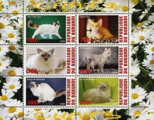 Cat Pet Domestic Animal Devon Rex Birman Souvenir Sheet of 4 Stamps Mint NH