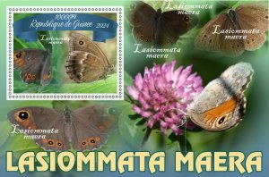 Stamps.Fauna, Butterflies  2024 year 8 sheets perforated