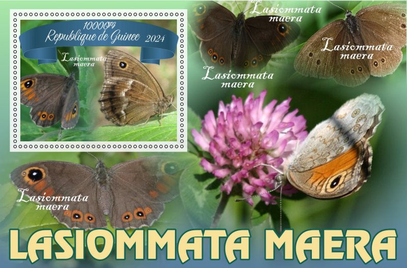 Stamps.Fauna, Butterflies  2024 year 8 sheets perforated