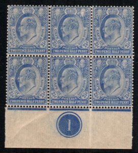 Cape of Good Hope  66  MNH and MH $ 50.00 plate block