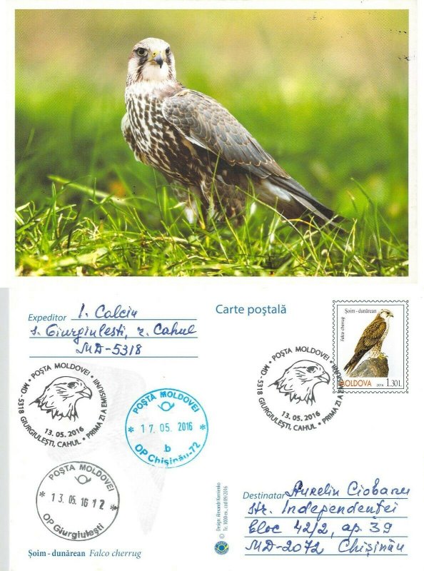 Moldova 2016 PSC birds of prey stamps with FD Cancel  Saker falcon 