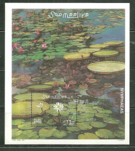 Somalia MNH S/S Nymphaea's Water Lilies Flowers