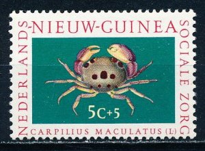 Netherlands New Guinea #B31 Single MH