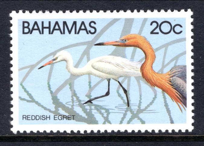 Bahamas 493 Bird MNH VF