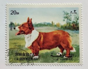 Sharjah 1972 Mi 1024A CTO - 20d, dog, Cardigan Welsh Corgi