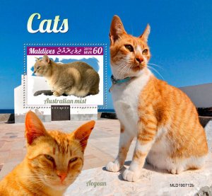 Maldives 2019 MNH Cats Stamps Australian Mist Aegean Cat Domestic Animals 1v S/S