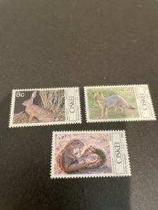 South Africa CisKei sc 42-44 MNH