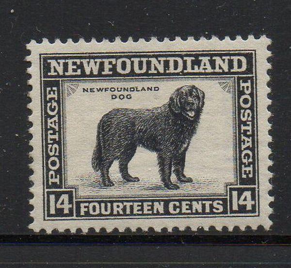 Newfoundland Sc   199 1932 14 cent Dog stamp mint