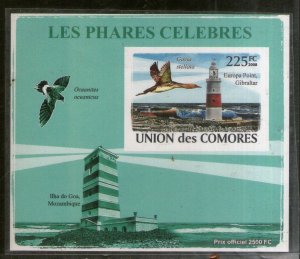 Comoro Islands 2008 Lighthouse Birds Wildlife Animals Imperf M/s MNH # 13072