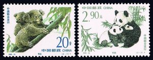 China PRC 2597-2598, MNH. Michel 2630-2631. Wildlife 1995. Koalas, Pandas.