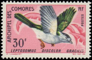 Comoro Islands #69-72, Complete Set(4), W/O Airmails, 1967, Birds, Hinged