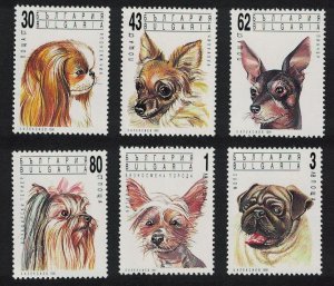 Bulgaria Chin Chihuahua Terrier Pug Dogs 6v 1991 MNH SG#3784-3789 MI#3929-3934