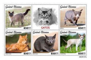 Guinea-Bissau - 2023 Cats, Maine Coon, Cornish Rex - 5 Stamp Sheet - GB230137a