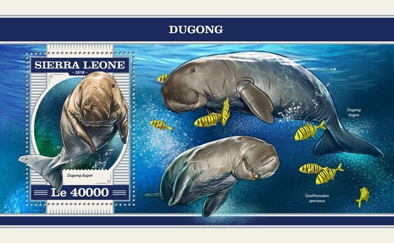 SIERRA LEONE - 2018 - Dugong - Perf Souv Sheet - Mint Never Hinged