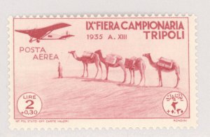 Libya, Scott #C22, MH