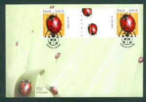 Aland. 2006 FDC.  Insects, Beetles, 0.65 Eu. Gutter Pair. Sc.# 243.