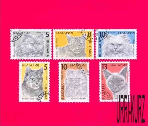 BULGARIA 1989 Nature Fauna Domestic Farm Animals Pets Cats 6v Sc3510-3515 CTO VF