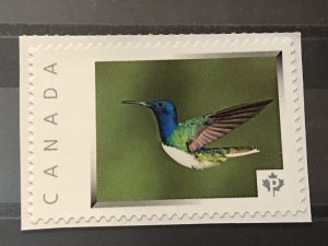 Canada Post Picture Postage Mint NH *Humming bird* *P* denomination