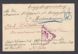 Austria, 1917 Salzerbad bei Hainfeld POW Camp, censored cover to Red Cross