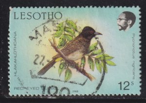 Lesotho 622 Red-Eyed Bulbul 1988