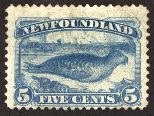 Newfoundland #53 MINT OG HR