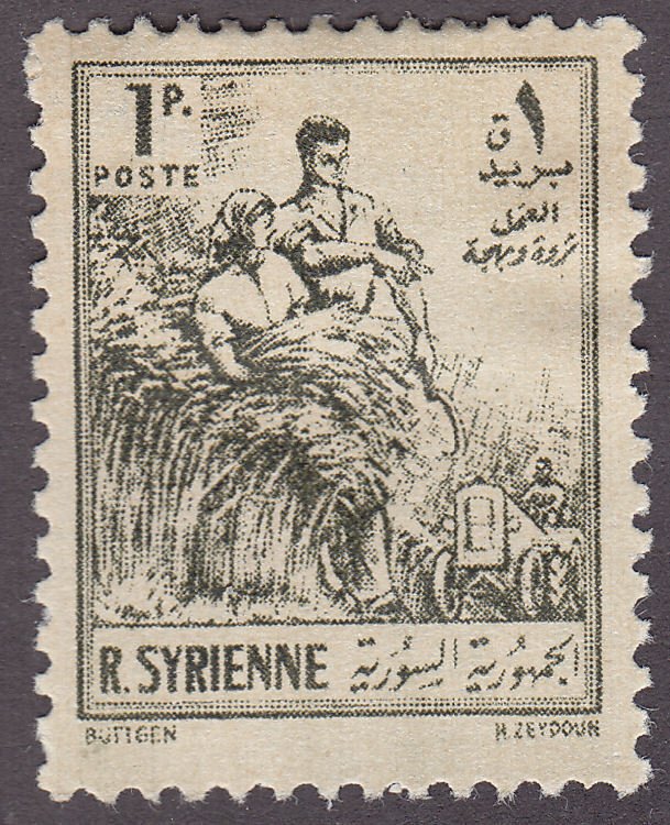 Syria 378 Farm Workers 1954