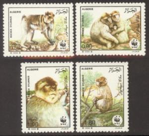 Algeria Sc# 872-5 MNH WWF / Barbary Apes