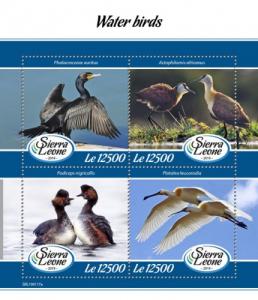 SIERRA LEONE - 2019 - Water Birds - Perf 4v Sheet - MNH