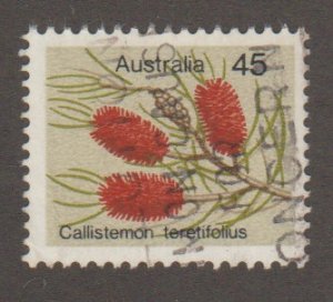 Australia 570  flower