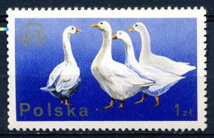 Poland #2098 Single MNH