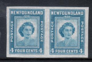 Newfoundland #269a Extra Fine Never Hinged Imperforate Pair