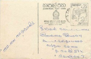 Entier Postal Postal stationery Sri Lanka Ceylon Lion