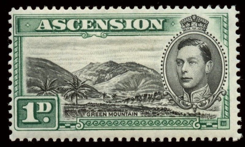 Ascension - Sc #41 (SG39) MNG.  Green Mountain Perf 13.5;   2019 SCV $30.00