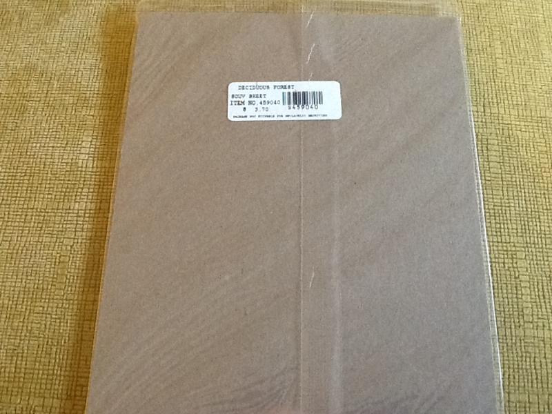 # 3899  Northeast Deciduous Forest